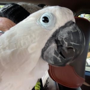 Meet your Posher, Maggie